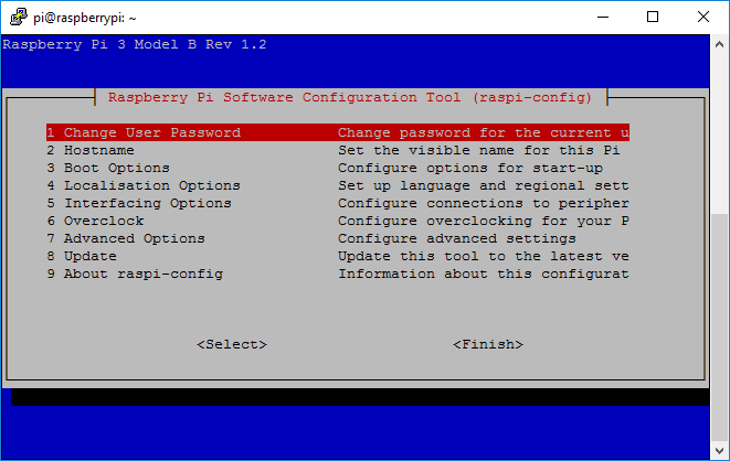 01 raspi config